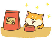 �h�b�O�t�[�h�҂�