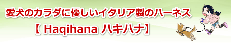 �n�L�n�i�E�n�[�l�X