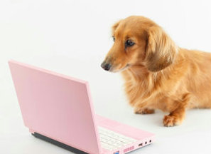 PC�`�F�b�N���錢