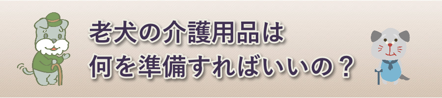 �V���̉��